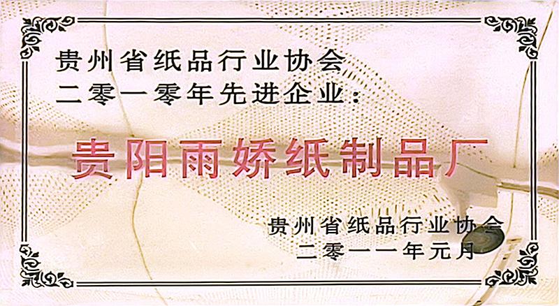 2010年先進(jìn)企業(yè)